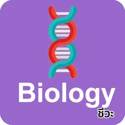 Bio tutoring